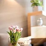 Apartmán Stylish In Old Town Praha